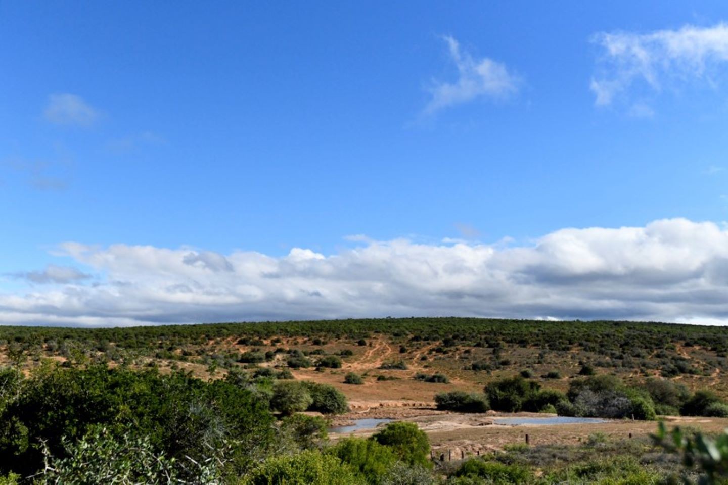 Addo Restcamp - Addo Elephant Park