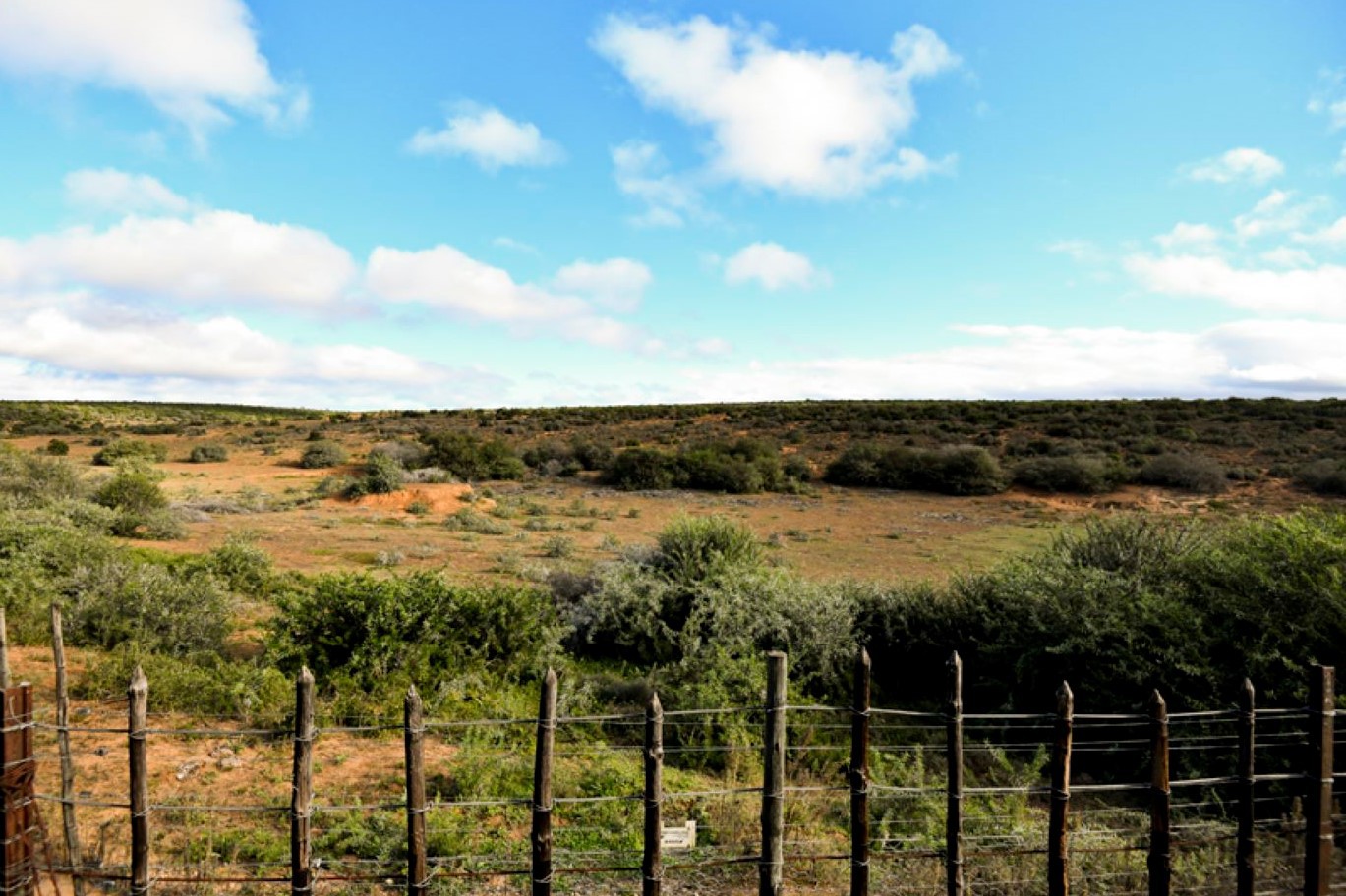 Addo Restcamp - Addo Elephant Park