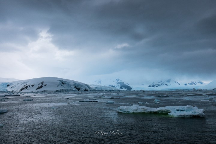 Adelaide Island Antarctica