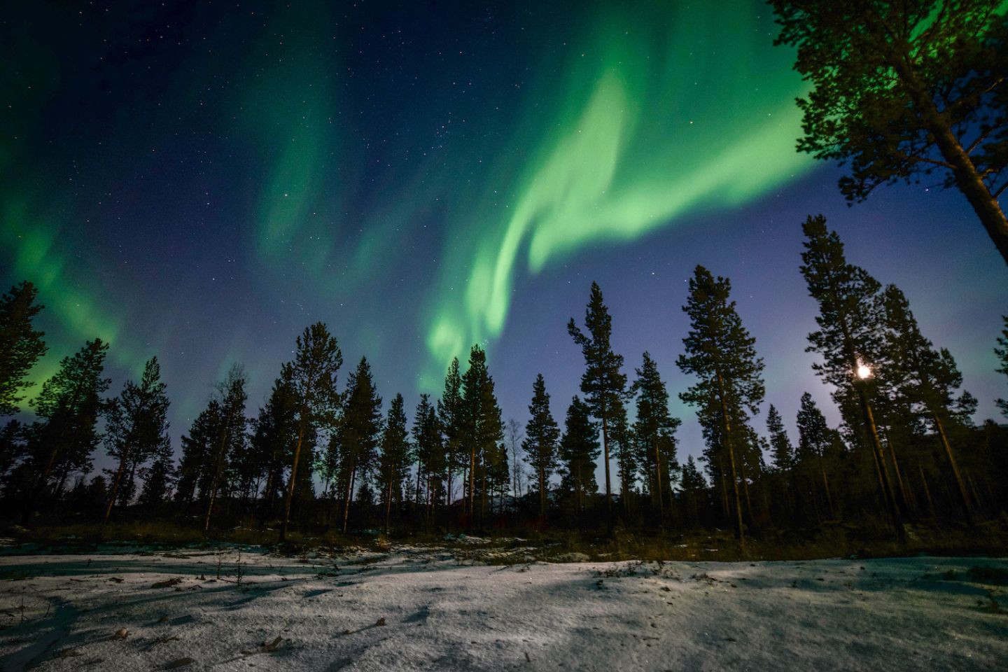 Afbeelding van Alta Sorrisniva Noorderlichtsafari 2