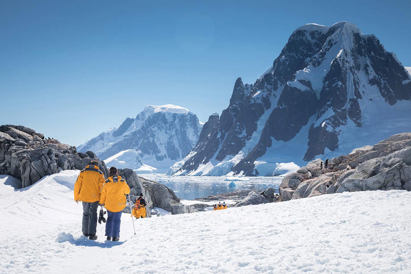 Antarctica Cruise QuarkExpeditions Pax Petermann Island Distant Acaciajohnson Afbeelding van Antarctica Cruise QuarkExpeditions Pax Petermann Island Distant Acaciajohnson