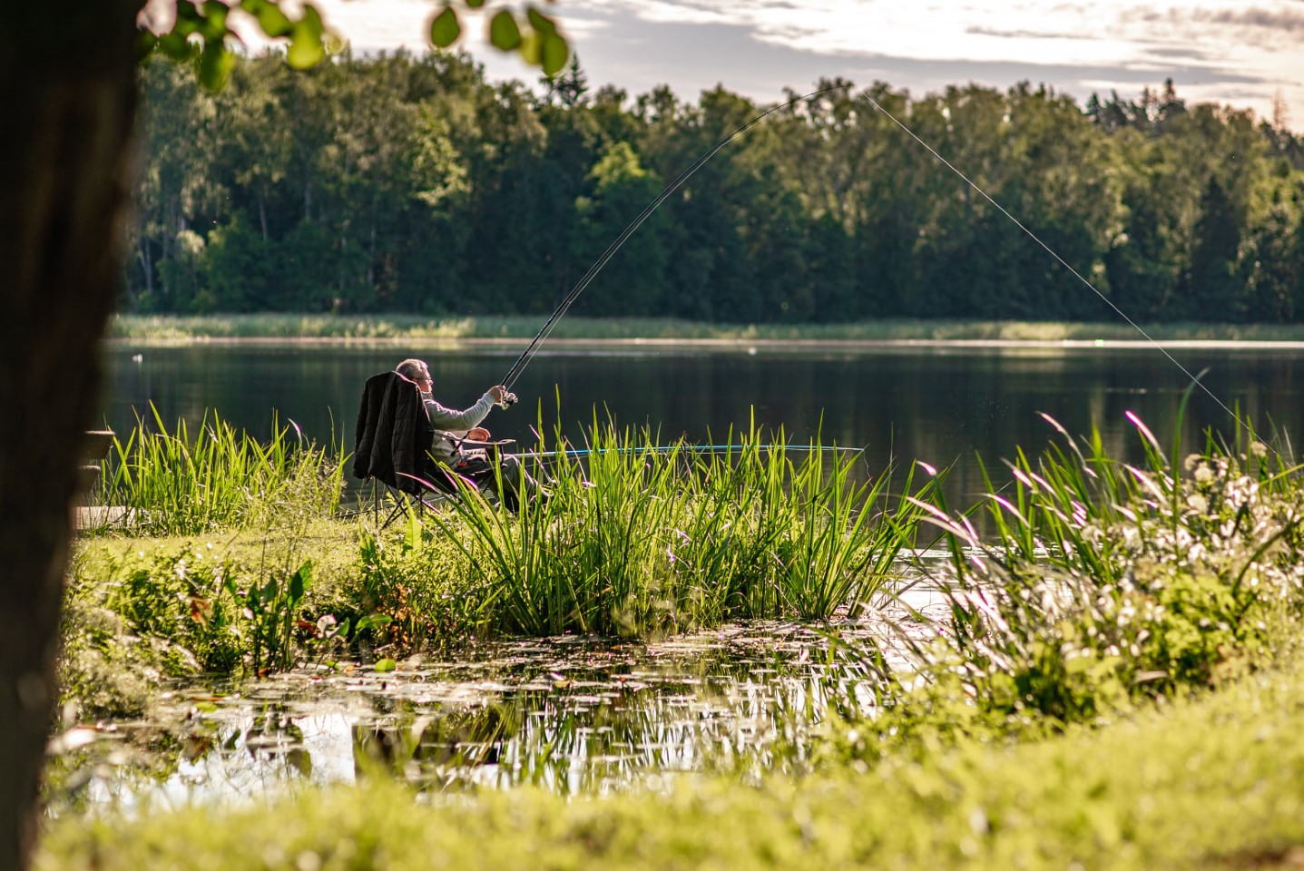 Cesis, Apaļkalns Camping