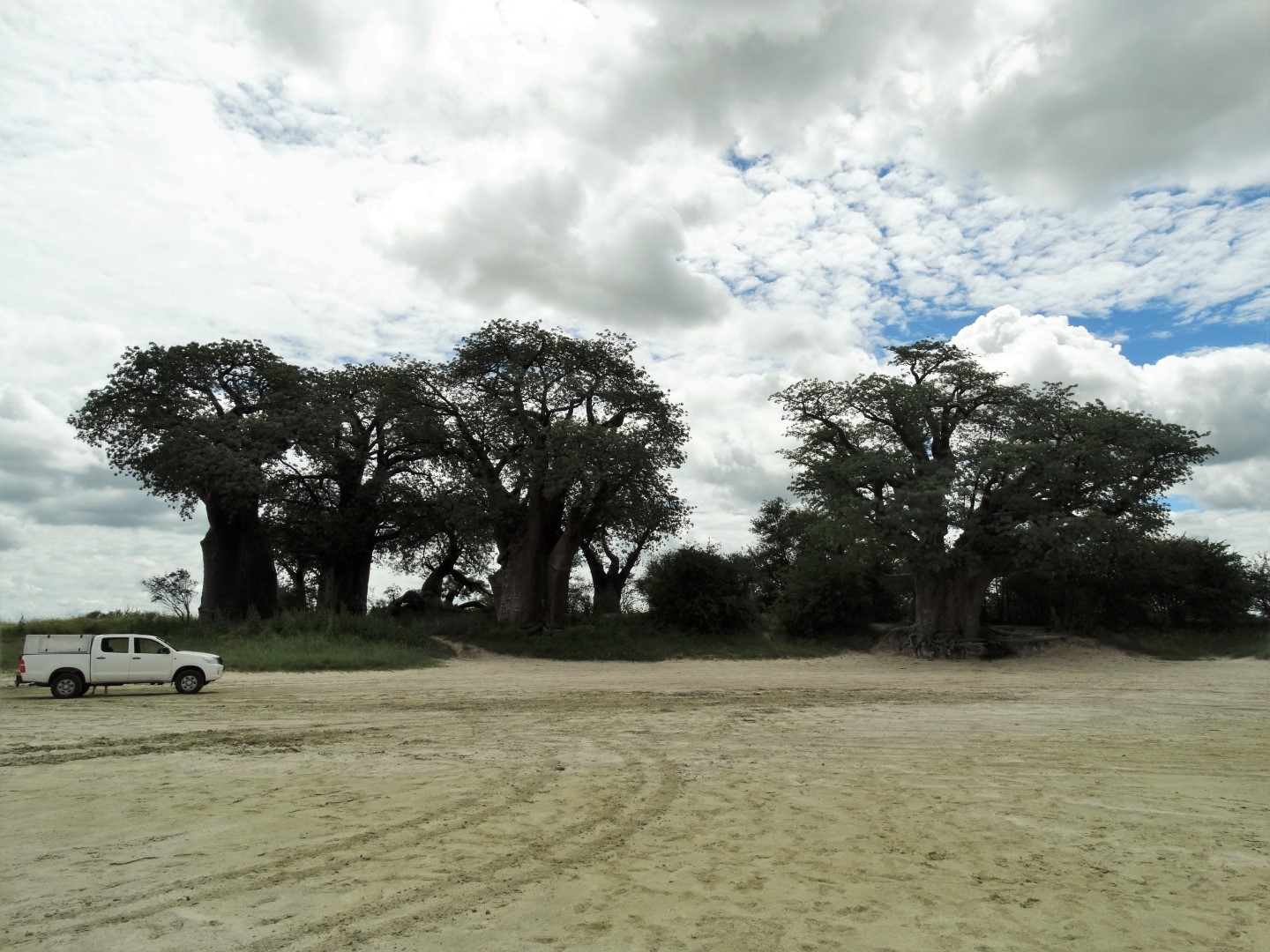 Nxai Pan Campsites