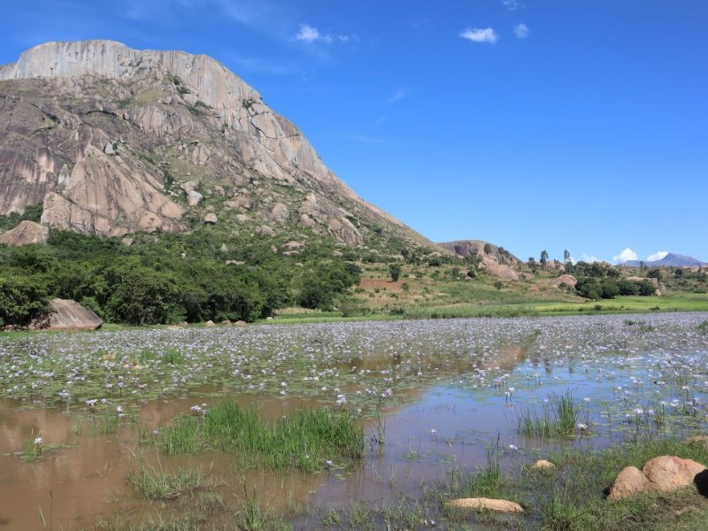 Betsileo Country Lodge - Fianarantsoa