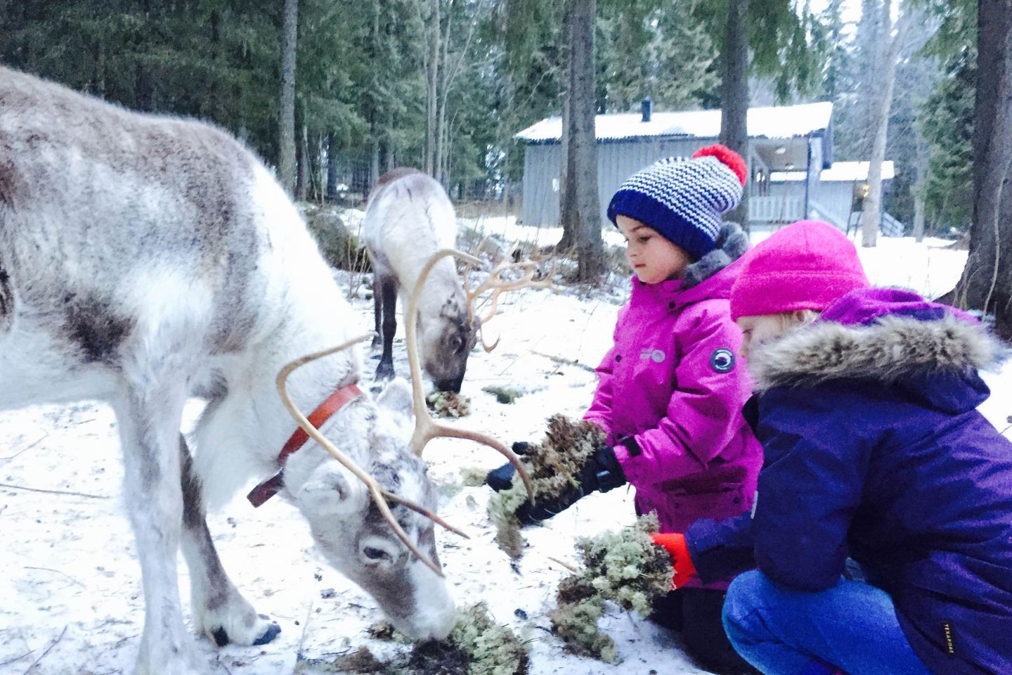 Afbeelding van Brandon Lodge Sami Ervaring 2