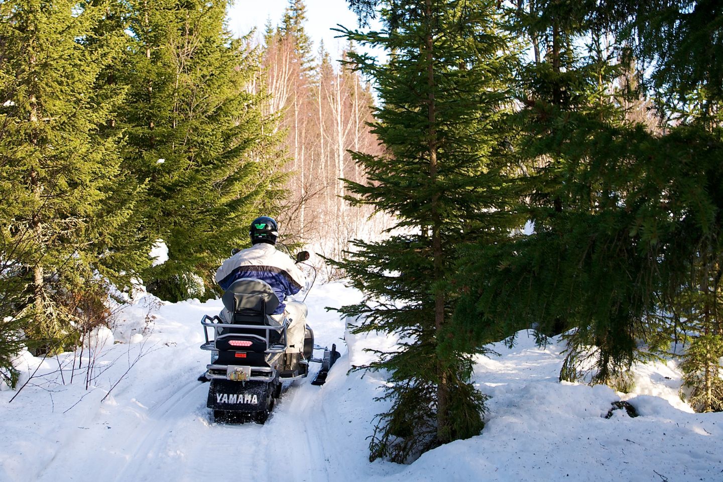 Sneeuwscootertocht Luleå