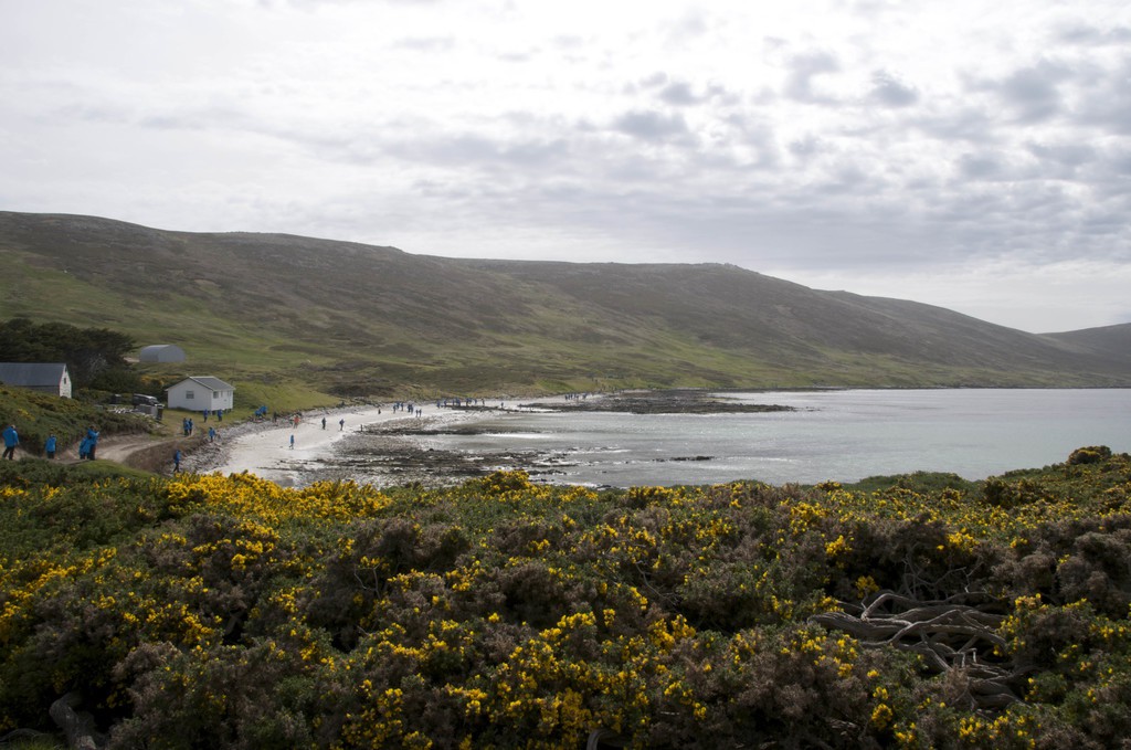 Carcass Island