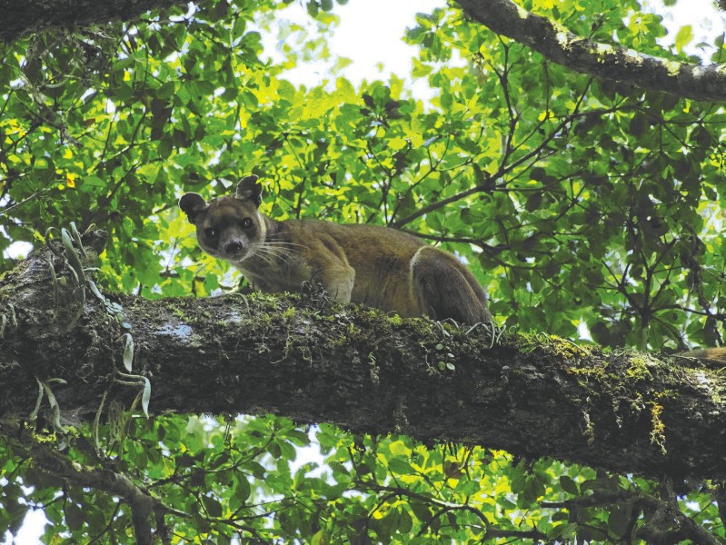 Chez Arol Lodge - Masoala National park