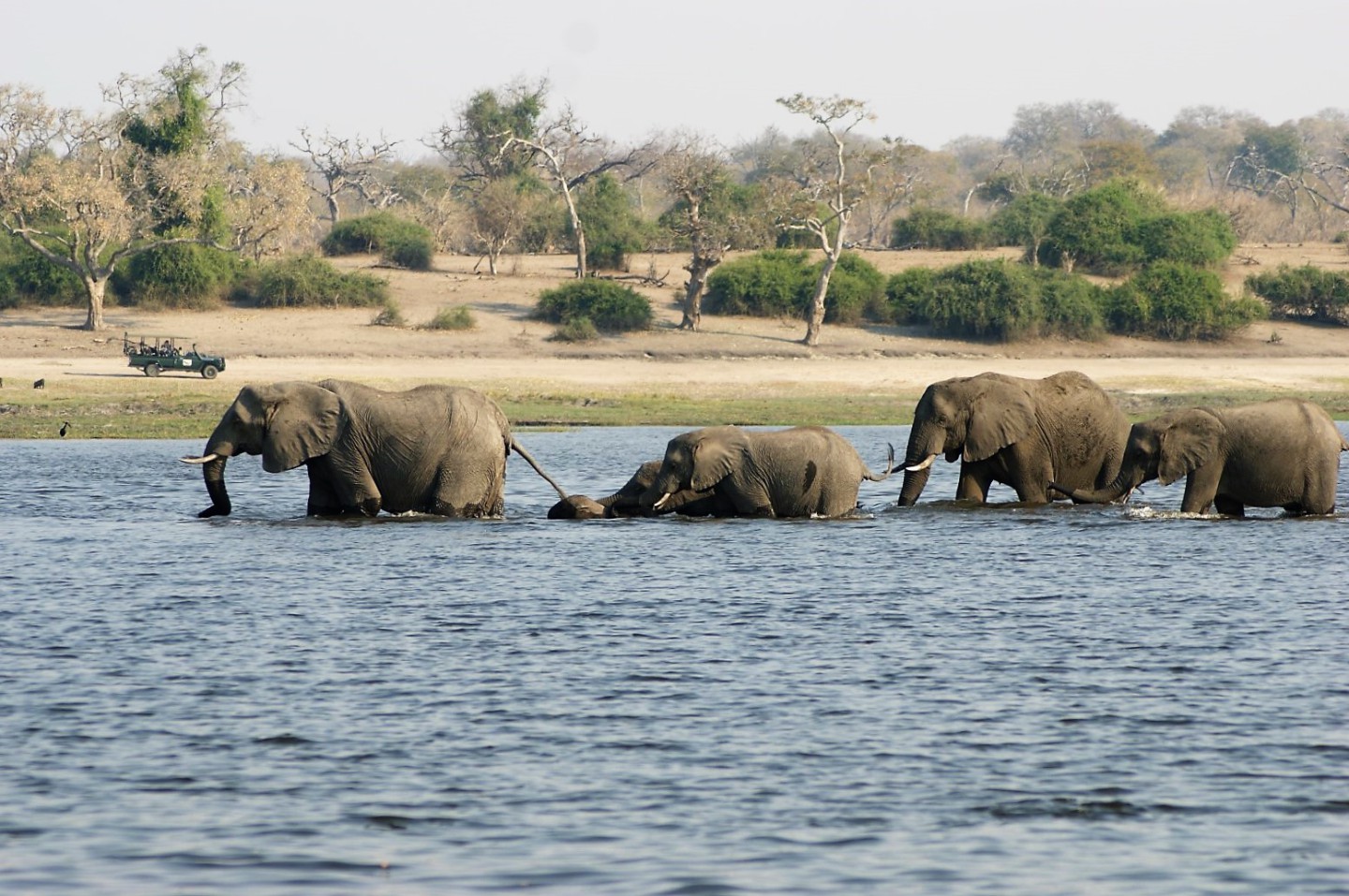 Chobe Safari Lodge - Kasane