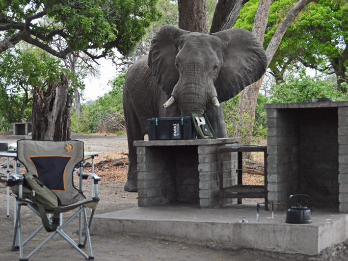 Afbeelding van Chobe Linyanti Campsite 06