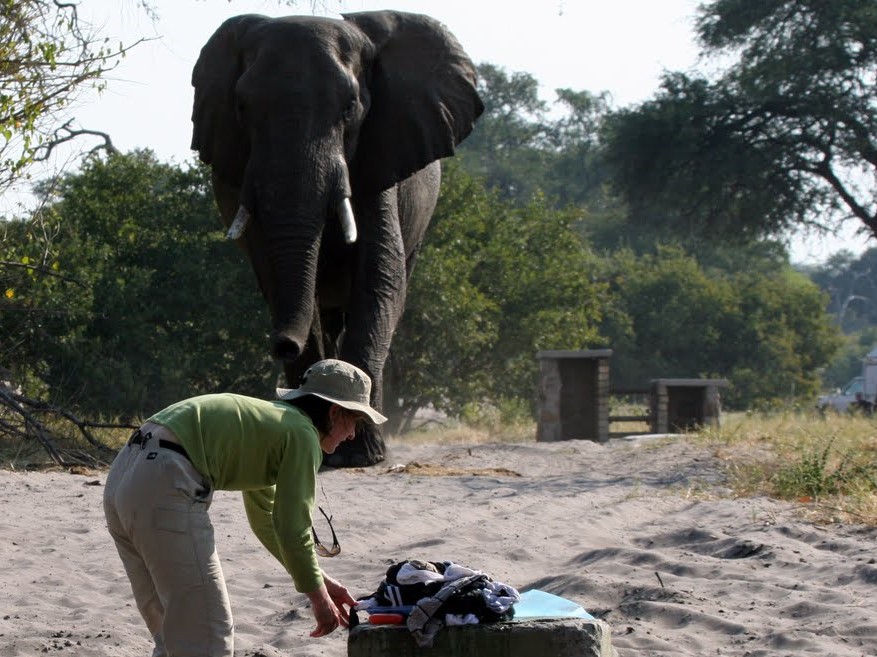 Savute Camp Chobe