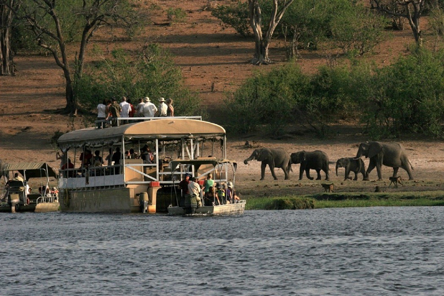 Chobe Elephant Camp aan de Chobe rivier