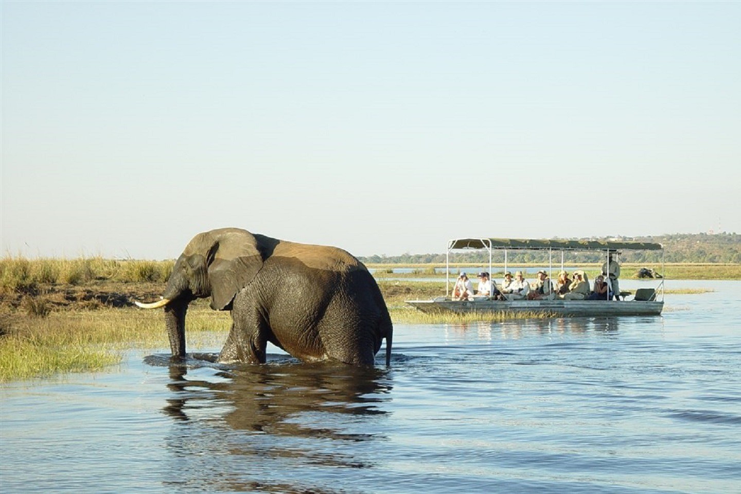 Chobe Elephant Camp aan de Chobe rivier