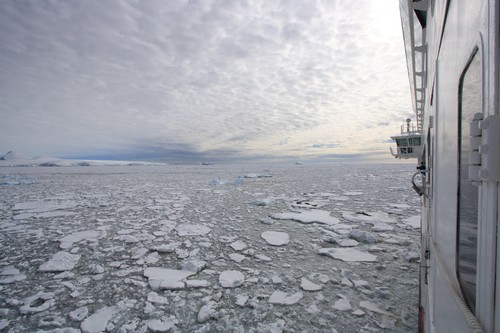 Crystal Sound Antarctica