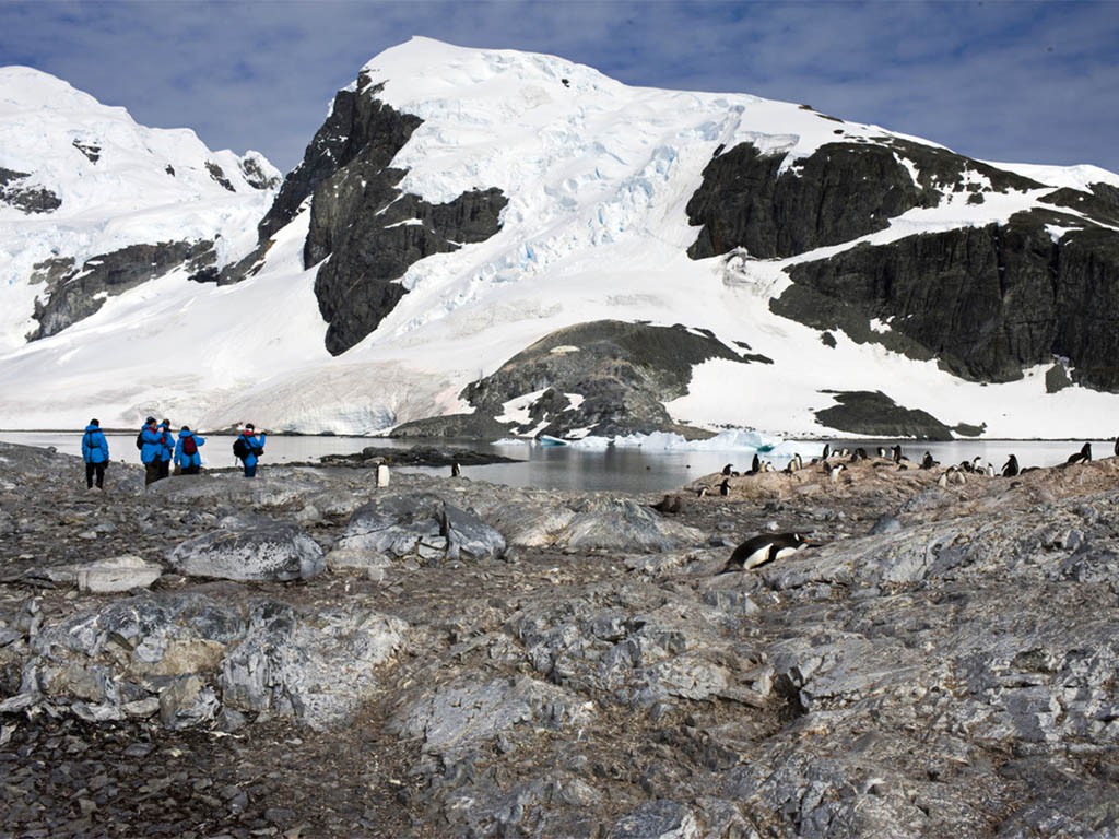 Afbeelding van Cuverville Island Hurtigruten Camille Seaman Copy