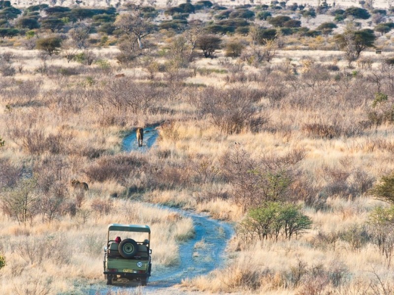 Deception Valley Camping - Centrale Kalahari