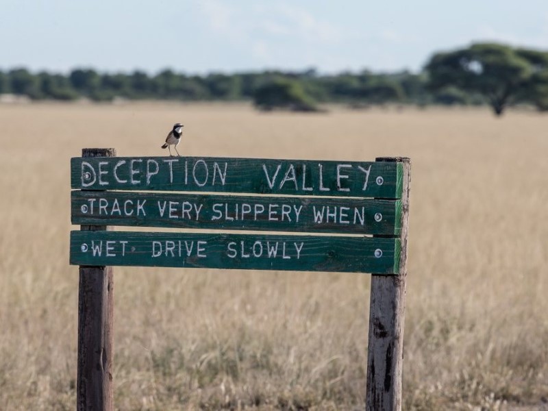 Deception Valley Camping - Centrale Kalahari