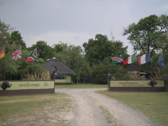 Mahangu Safari Lodge - Divundu