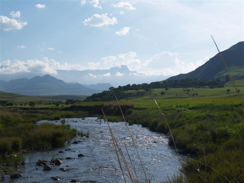 Afbeelding van Drakensberg