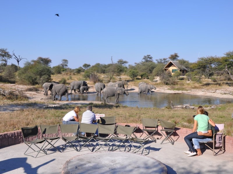 Afbeelding van Elephant Sands 03