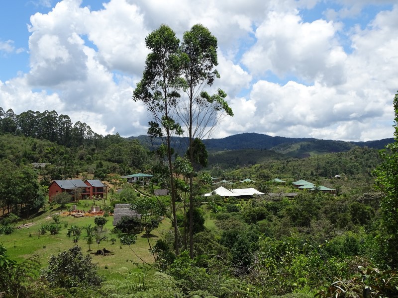 Eulophiella Lodge bij Andasibe