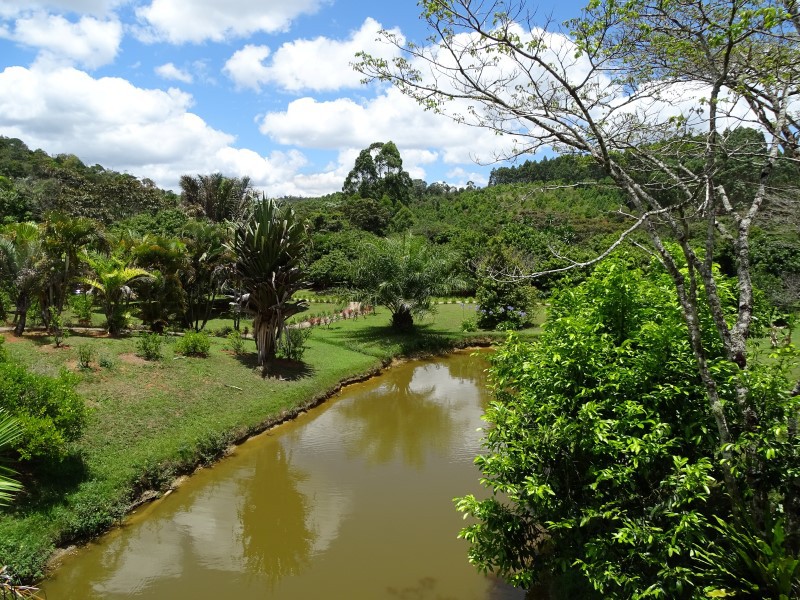 Eulophiella Lodge bij Andasibe