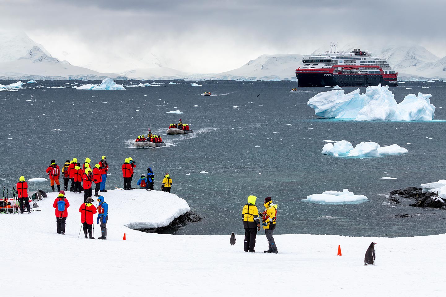 Afbeelding van Expeditiereizen Per Hurtigruten Cuverville Island Antarctica Andrea Klaussner
