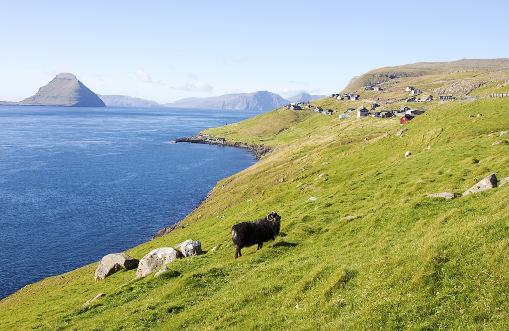 Faeröer Eilanden, Torshavn