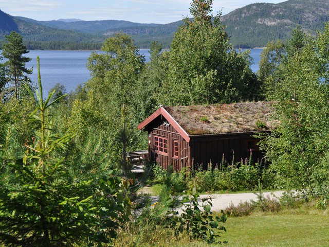 Afbeelding van Fyresdal Fossumsanden Camping