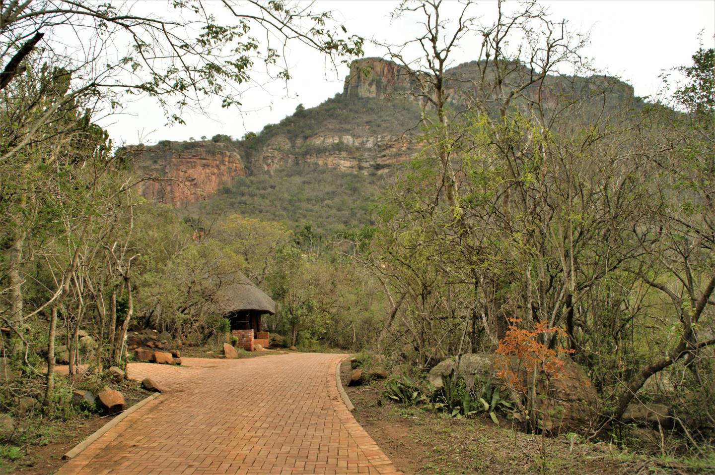 Giant's Castle - Drakensberg