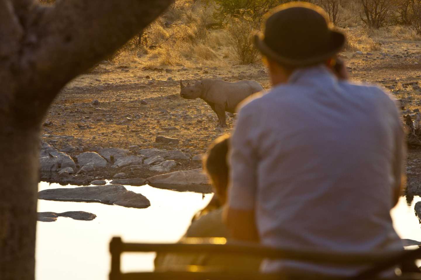 Halali Camp - Etosha