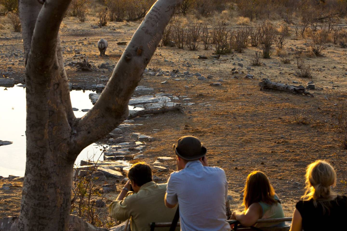 Halali Camp - Etosha