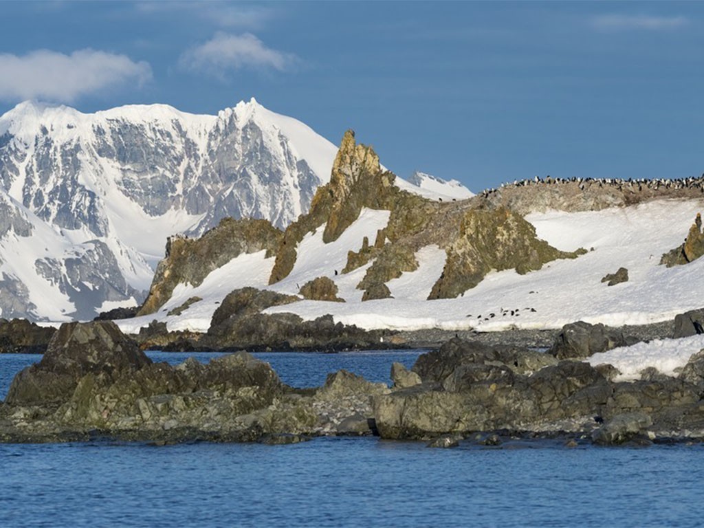 Half Moon Island, Antarctica kinband pinguin kolonie