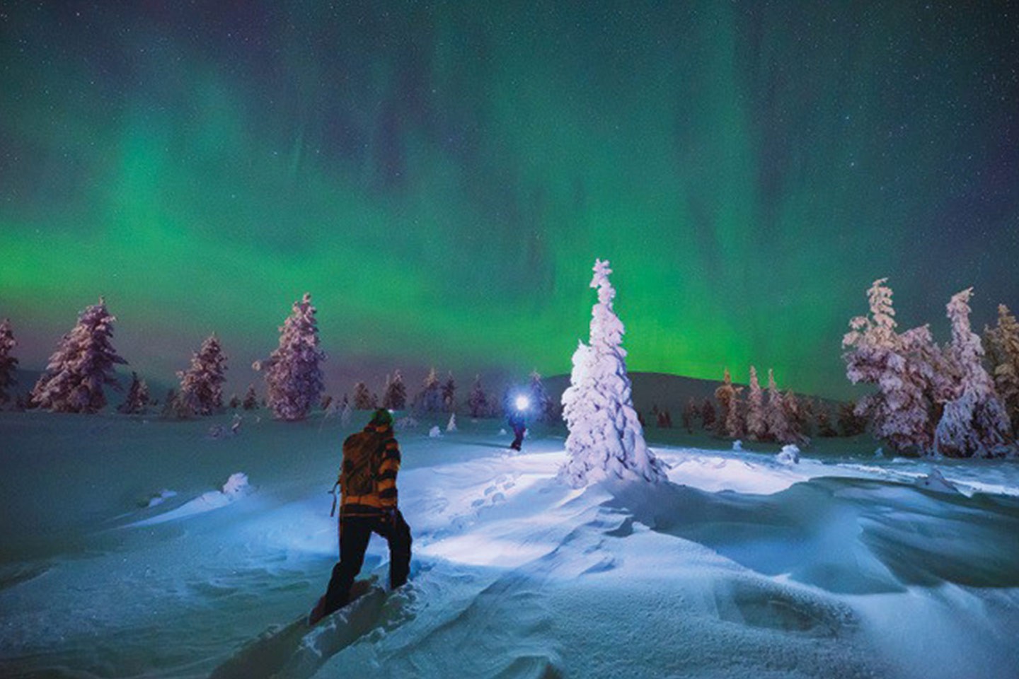 Afbeelding van Harriniva Hotels %26 Safaris Northern Lights 31