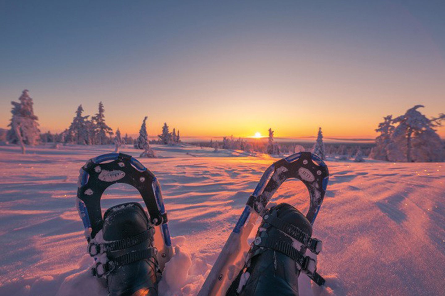 Afbeelding van Harriniva Hotels %26 Safaris Snowshoes 4