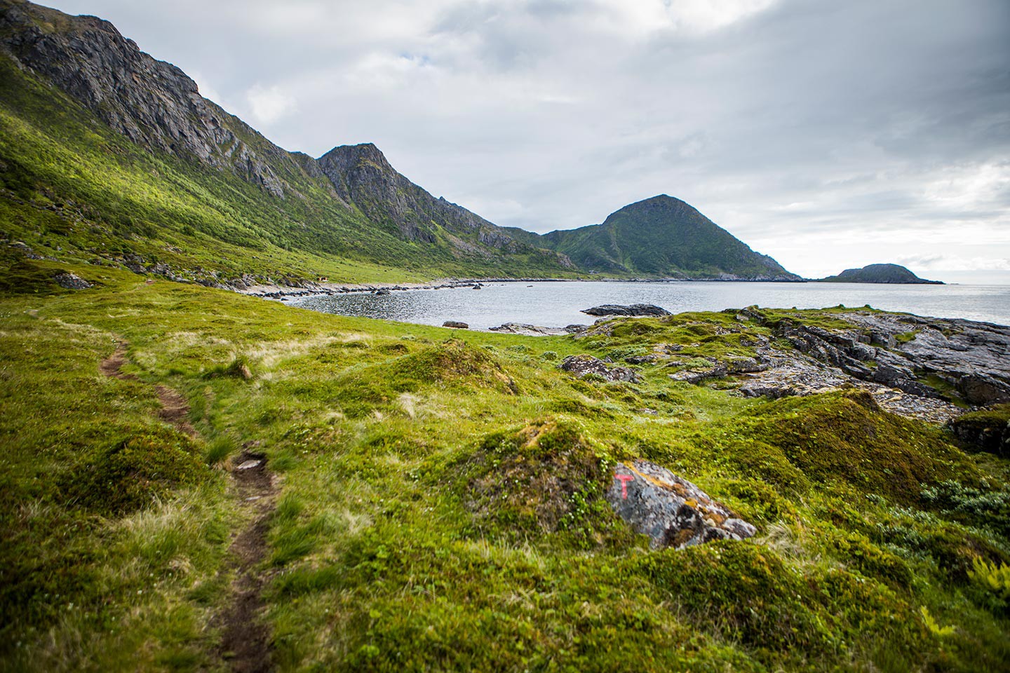 Havila excursies Trondheim – Tromsø