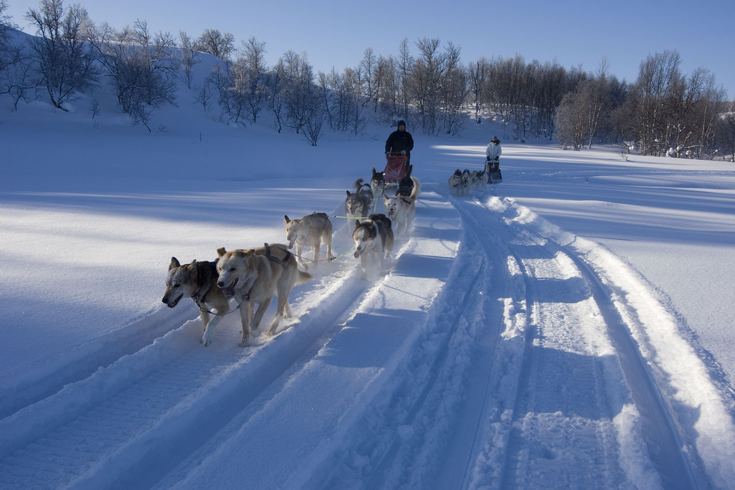 Havila excursies Tromsø – Kirkenes