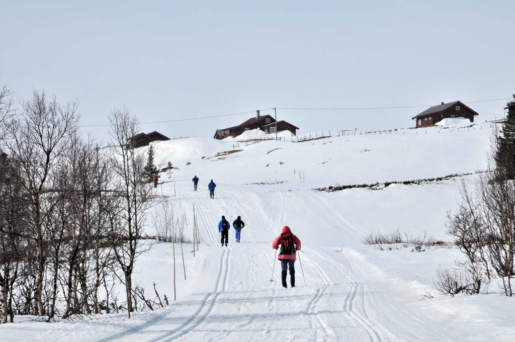 Geilo, Havsdalsgrenda *