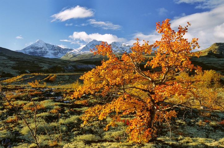Herfstreis Rondane Gjestegard Anders Gjengedal Innovation Norway 1 Copy Afbeelding van Herfstreis Rondane Gjestegard Anders Gjengedal Innovation Norway 1 Copy