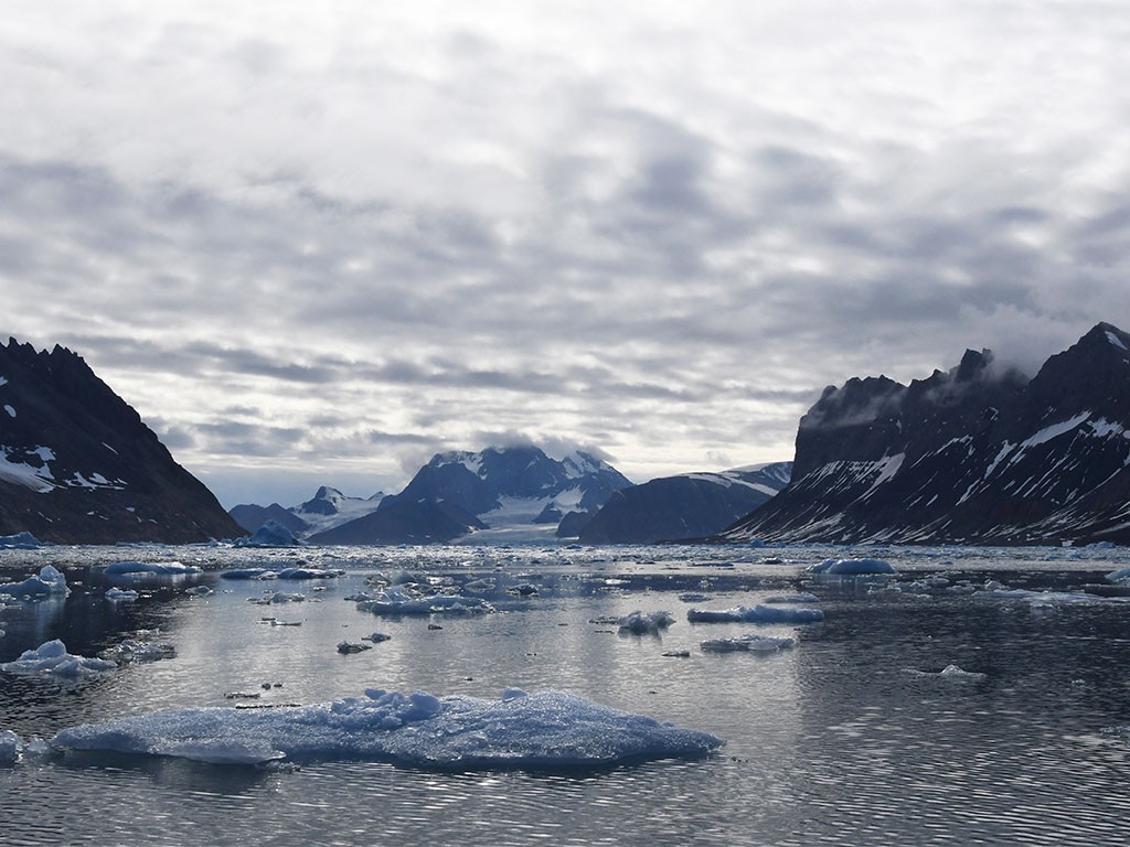 Afbeelding van Hornsund Oceanwide Expeditions Geert Kroes