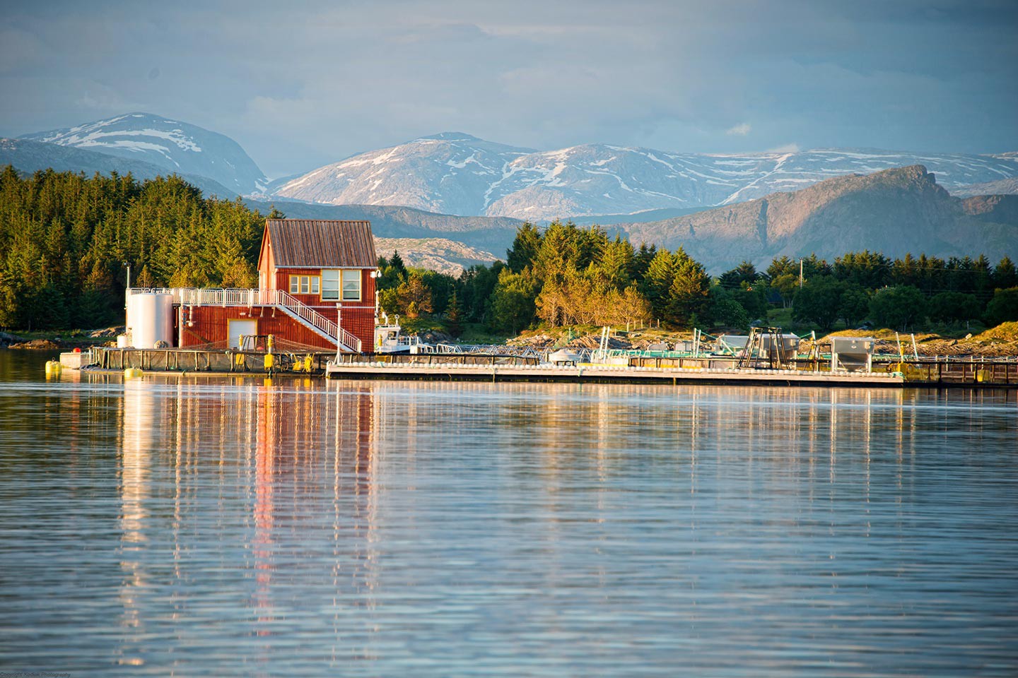 Hurtigruten excursies Bodø - Rørvik