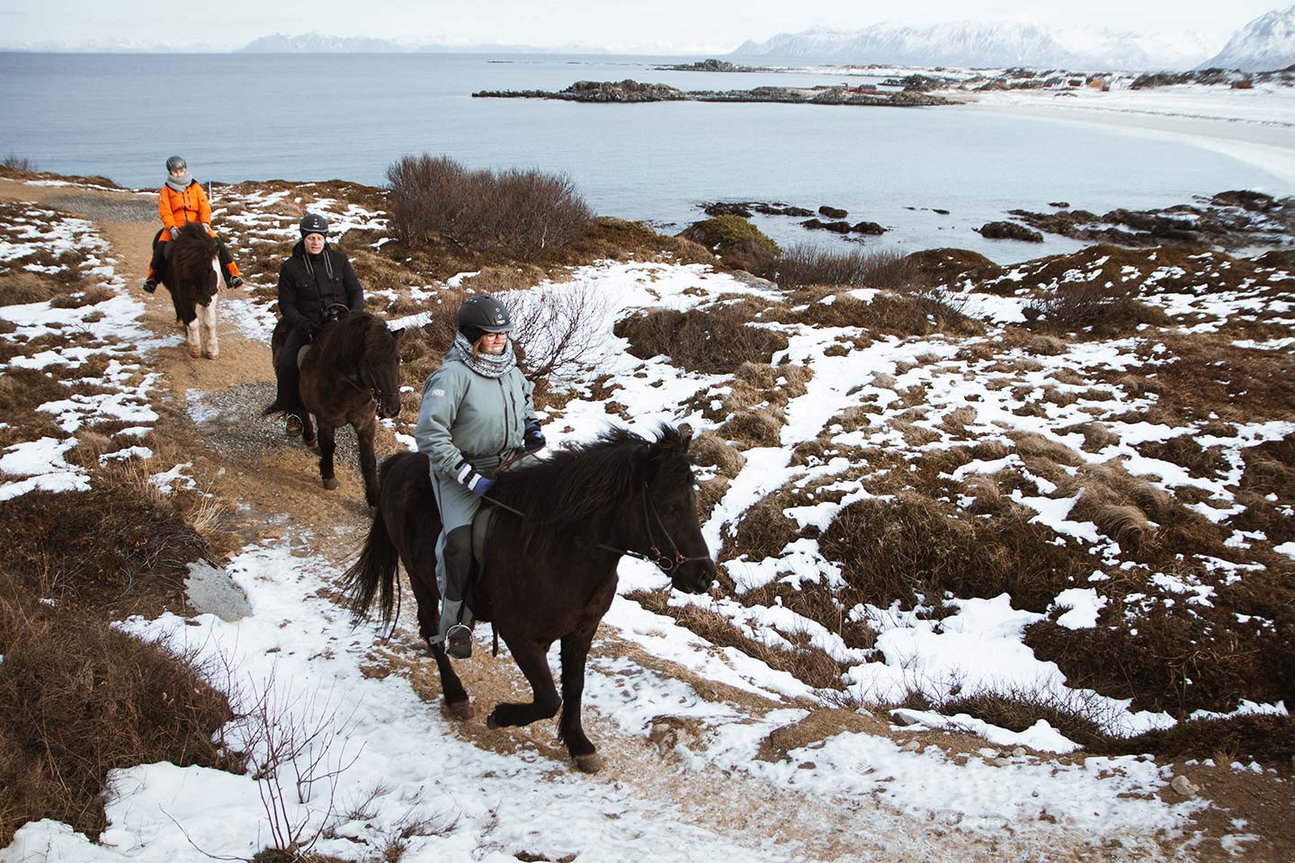 Afbeelding van Hurtigruten Excursies Bronnoysund Svolvaer Hov Gard