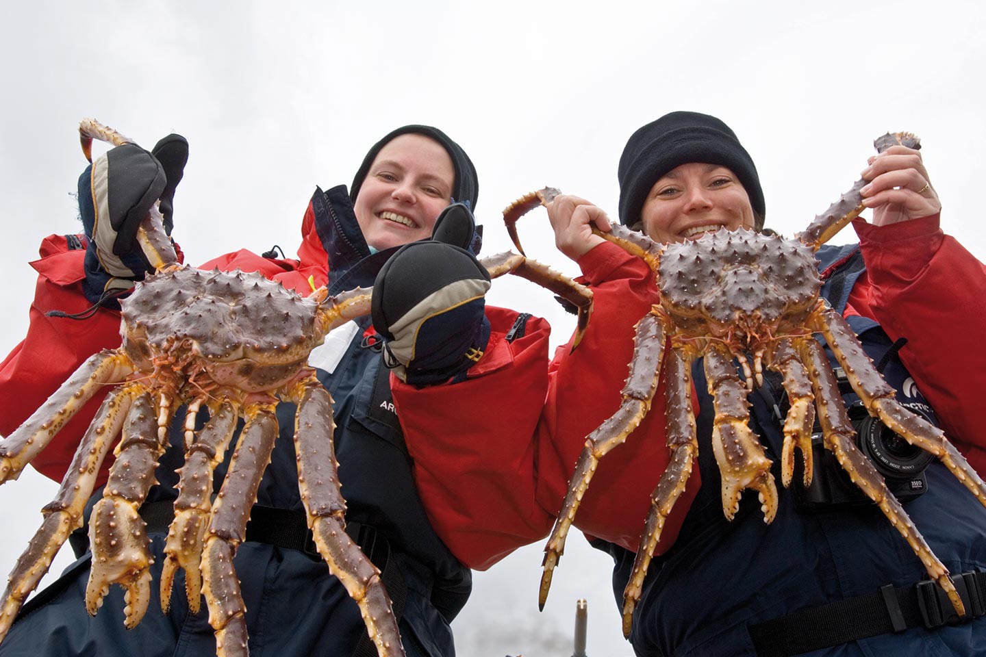 Hurtigruten excursies Kirkenes