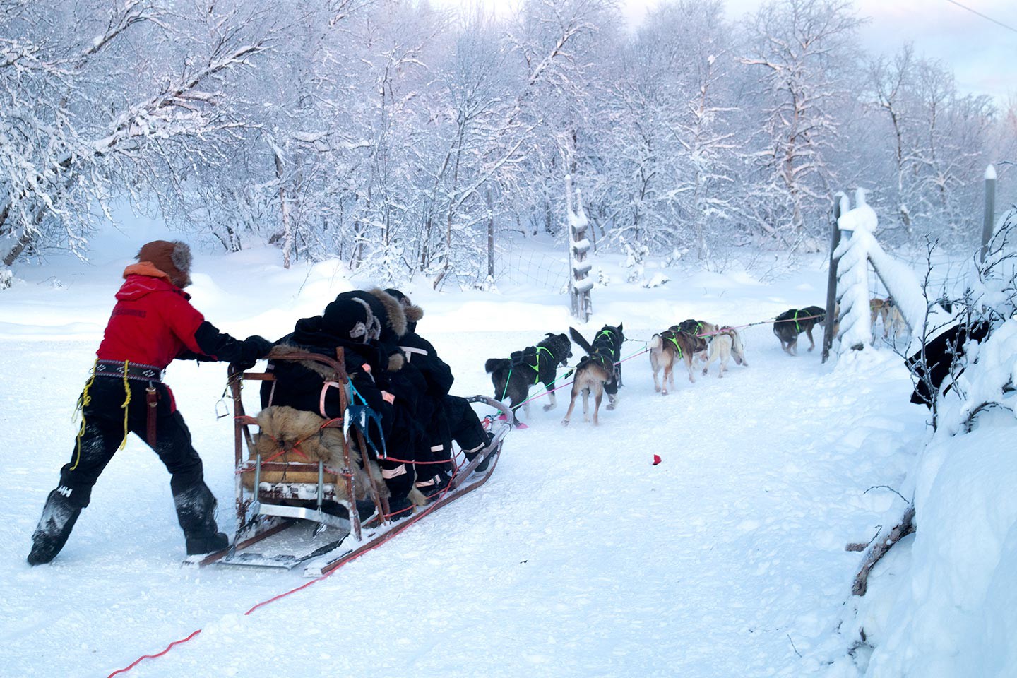 Hurtigruten excursies Kirkenes