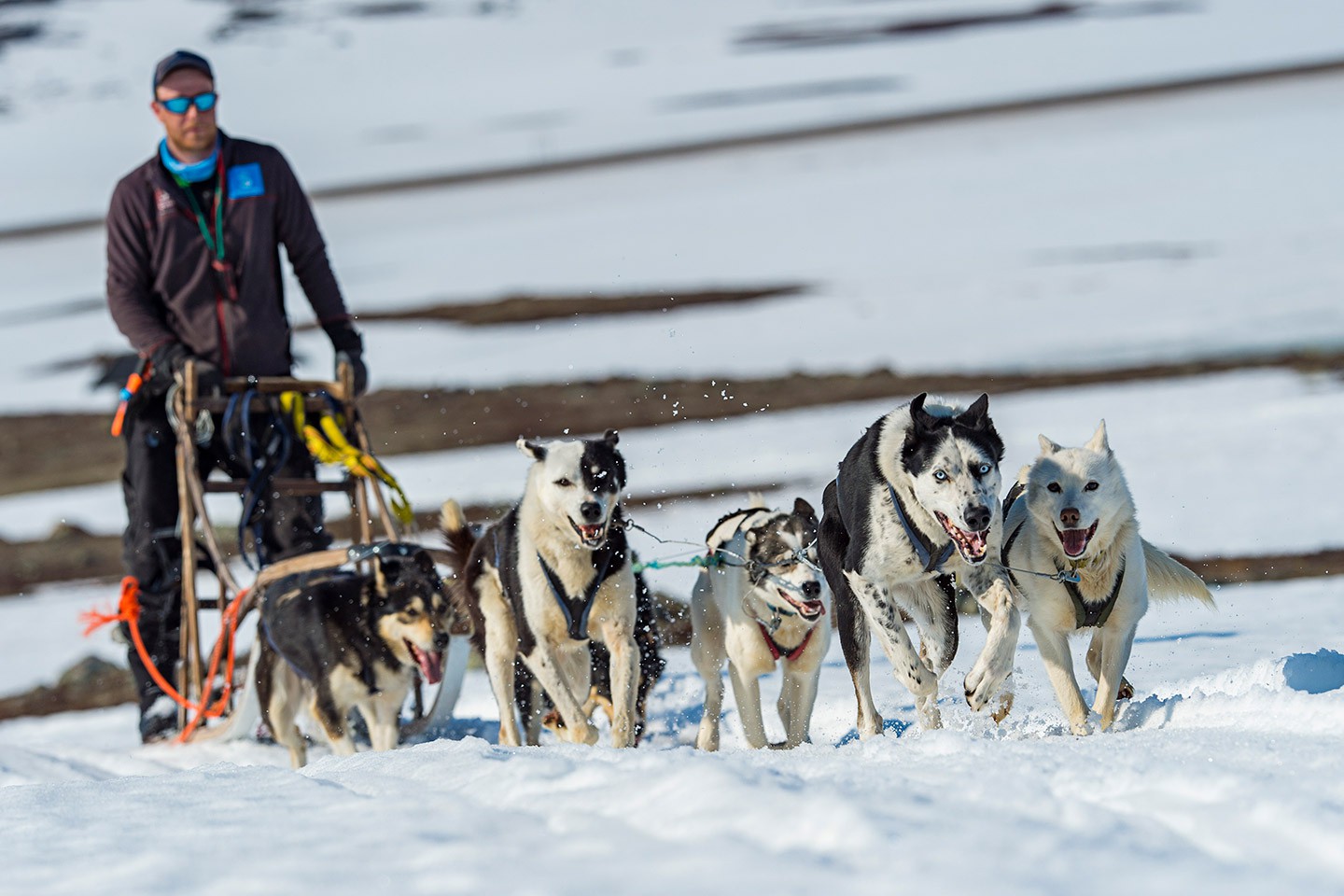 Hurtigruten excursies Mehamn - Tromsø