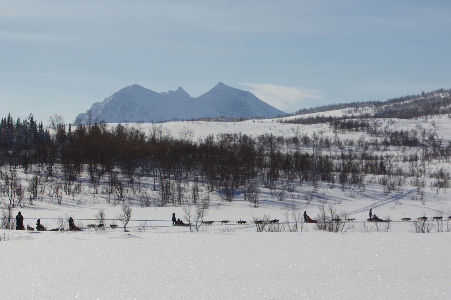 Hurtigruten excursies Stokmarknes - Skjervøy