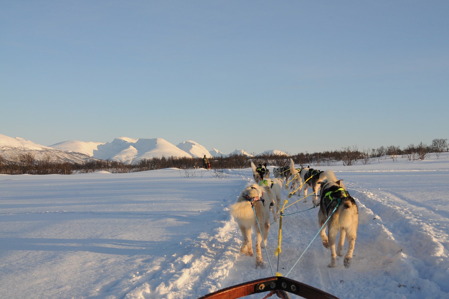 Hurtigruten excursies Stokmarknes - Skjervøy