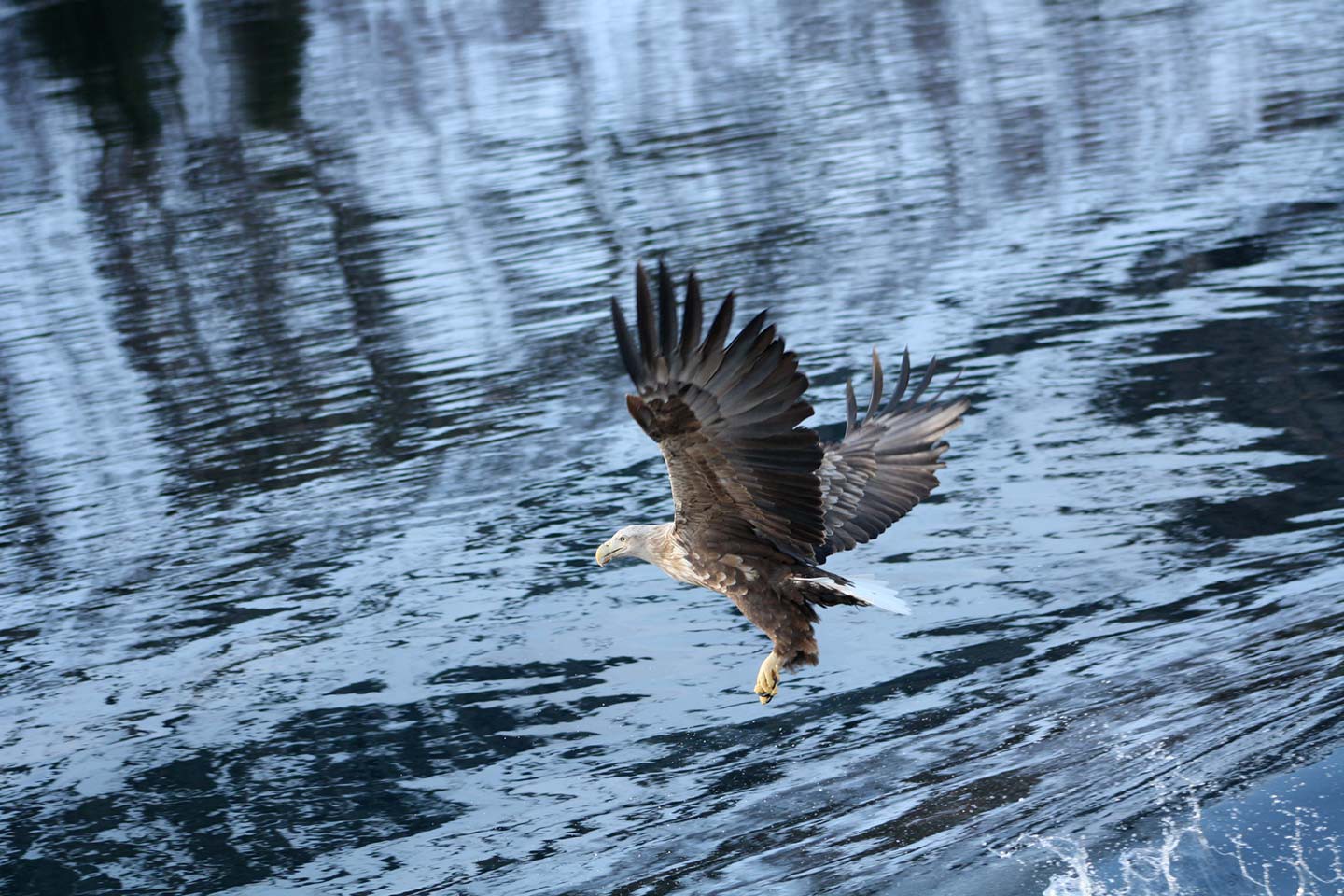 Hurtigruten excursies Tromsø - Stamsund