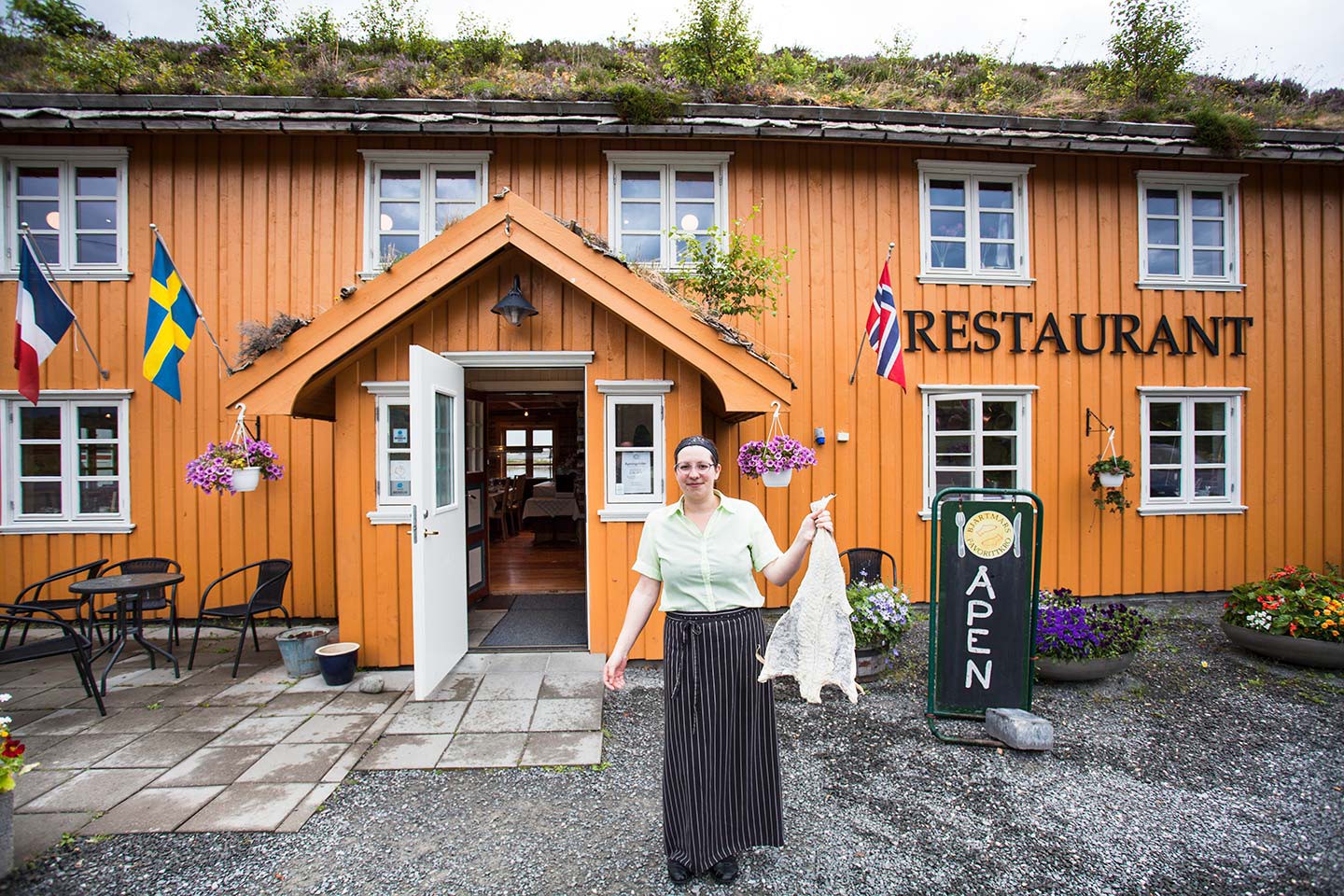 Hurtigruten excursies Trondheim - Ålesund