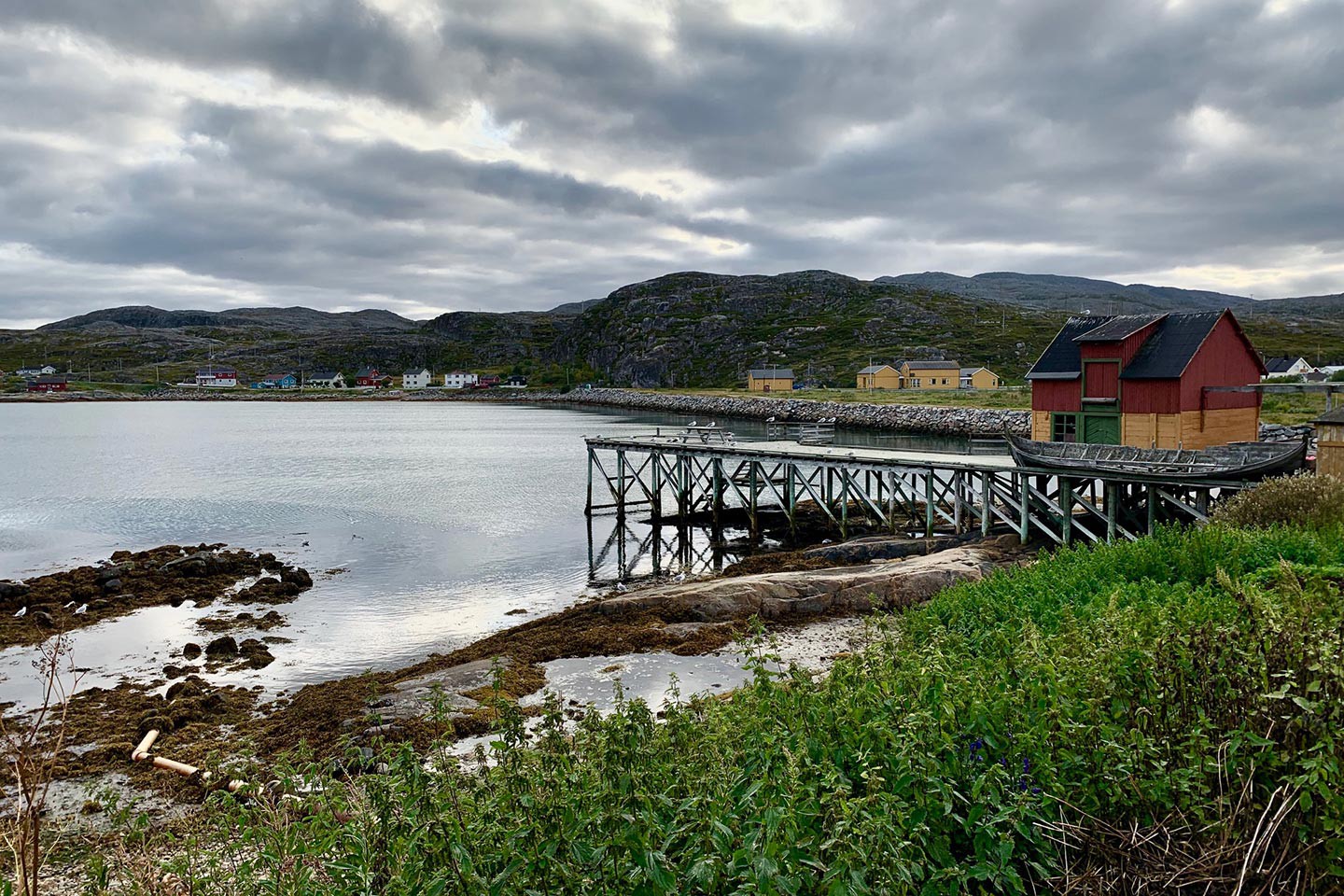 Afbeelding van Hurtigruten Rondreis Viking Ultiem Noord Noorwegen Esther Baas